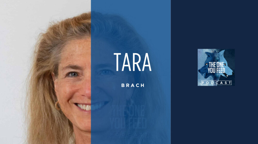 tara brach