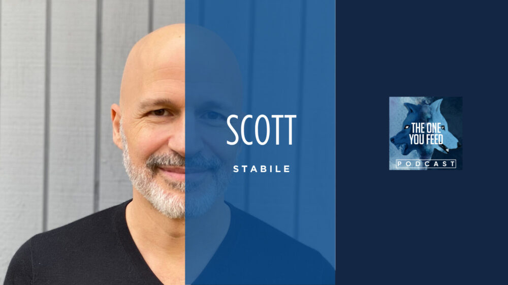 SCOTT STABILE